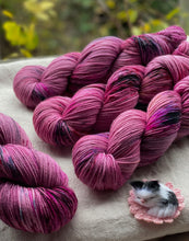 Load image into Gallery viewer, Alma López